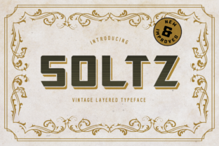 Discover Soltz: A Vintage-Style Display Font for Web Design