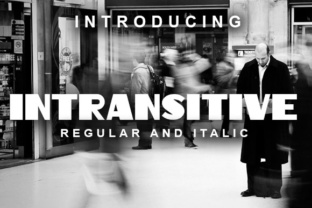 Elevate Your Brand with Intransitive: A Retro Font for Modern Business