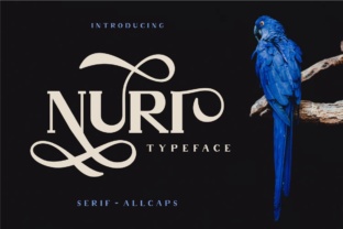 Elevate Your Brand with Nuri: A Premium Display Typeface