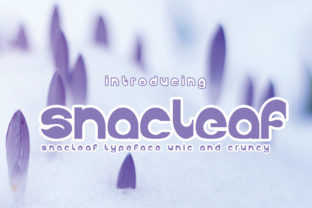 Snackleaf: A Bold Display Font for Modern Web Design