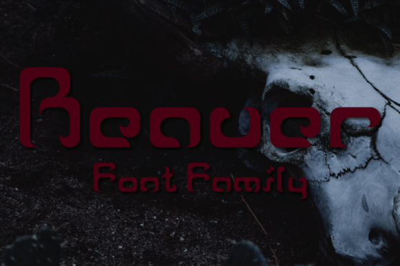 Transform Your Brand with Reaver Family: A Unique Display Font
